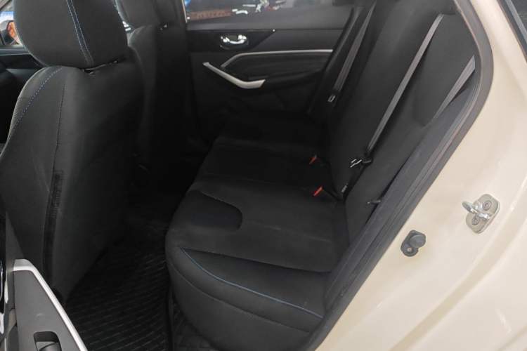 Used Venucia D60EV 2023 PLUS Comfort Edition CI Model Left Rear Seat
