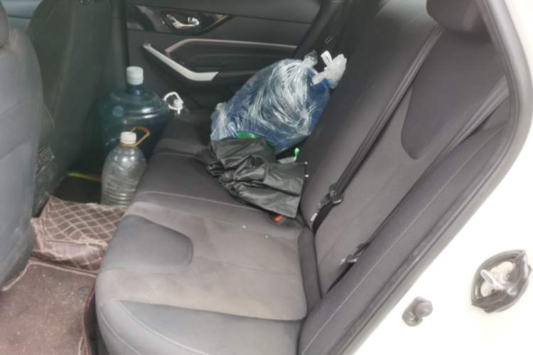 Used Venucia D60EV 2023 PLUS Comfort Edition CI Model Left Rear Seat