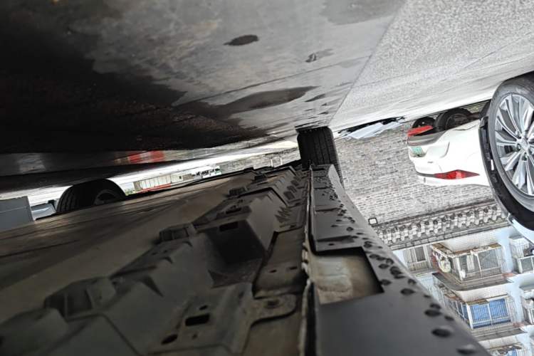 Used Venucia D60EV 2023 PLUS Comfort Edition SI Model Left Side Sill