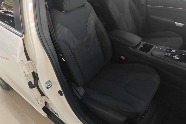 Used Venucia D60EV 2023 PLUS Comfort Edition CI Model Right Front Seat