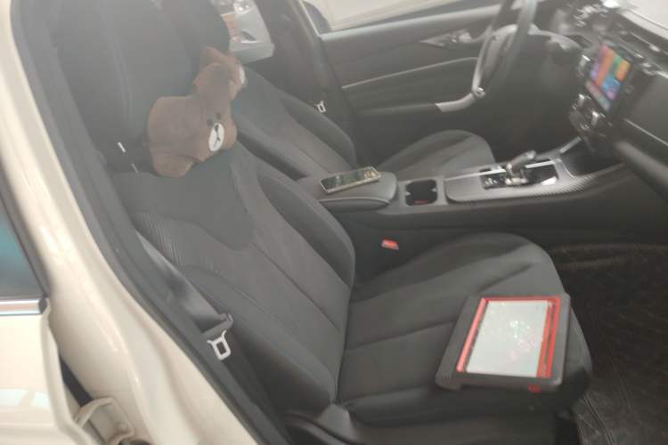 Used Venucia D60EV 2023 PLUS Comfort Edition SI Model Right Front Seat