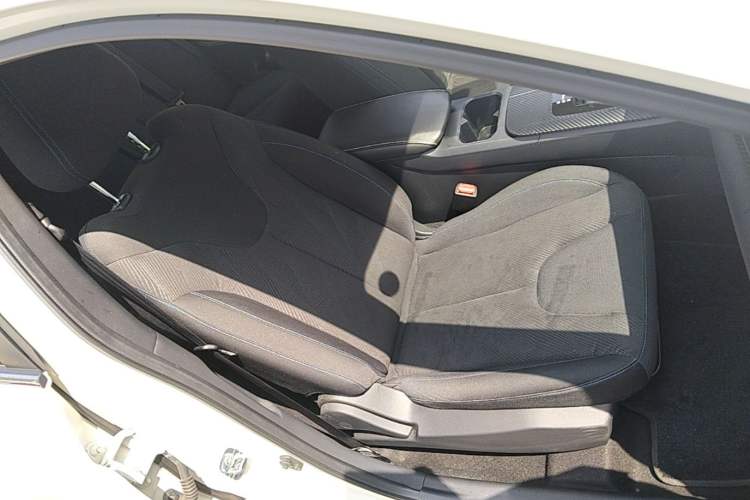 Used Venucia D60EV 2023 PLUS Comfort Edition CI Model Right Front Seat