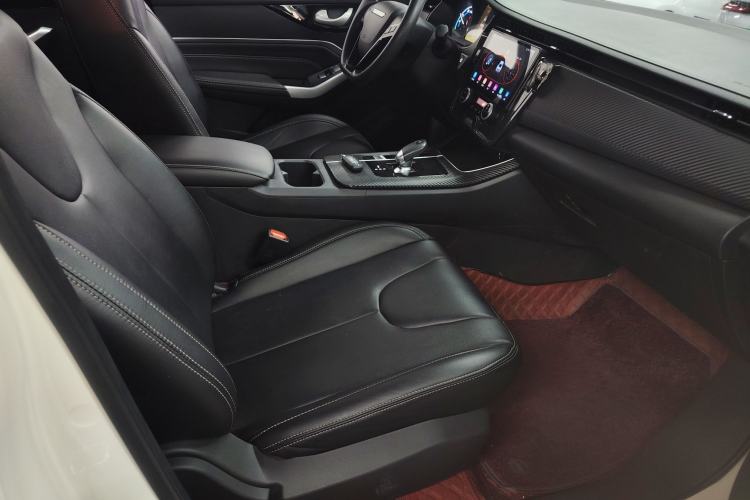 Used Venucia D60EV 2023 PLUS Comfort Edition SI Model Right Front Seat