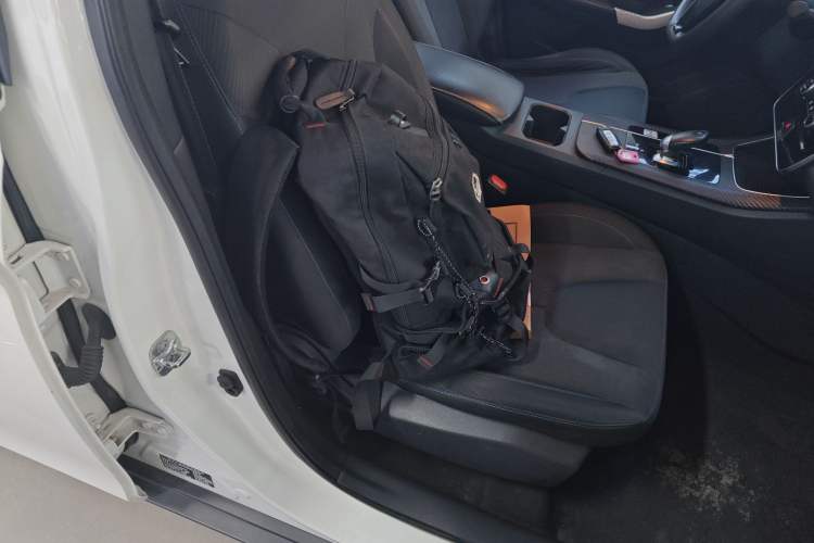 Used Venucia D60EV 2023 PLUS Comfort Edition RJ Model Right Front Seat