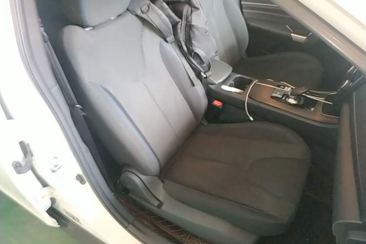 Used Venucia D60EV 2023 PLUS Comfort Edition SI Model Right Front Seat