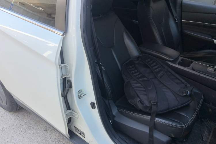Used Venucia D60EV 2023 PLUS Comfort Edition RJ Model Right Front Seat