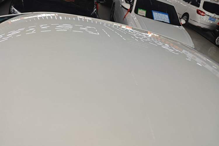 Used Venucia D60EV 2023 PLUS Comfort Edition CI Model Roof