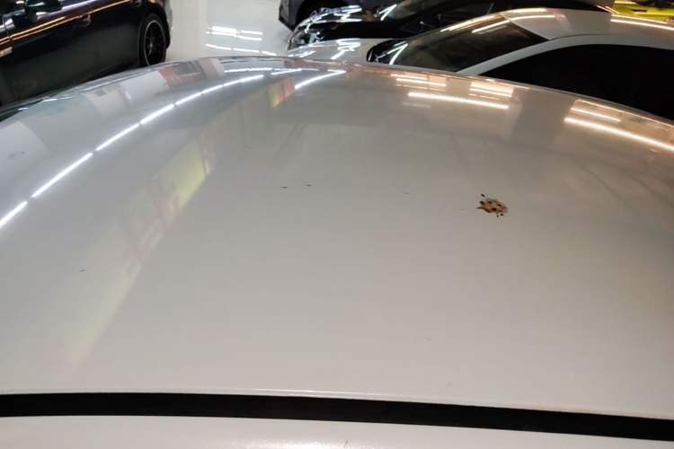 Used Venucia D60EV 2023 PLUS Comfort Edition SI Model Roof