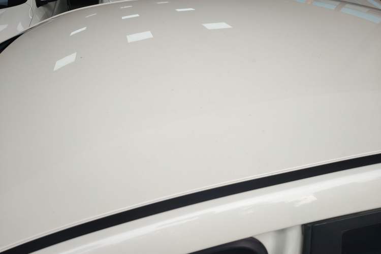 Used Venucia D60EV 2023 PLUS Comfort Edition SI Model Roof