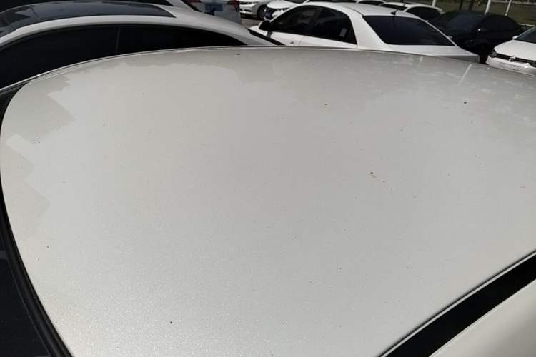 Used Venucia D60EV 2023 PLUS Comfort Edition CI Model Roof