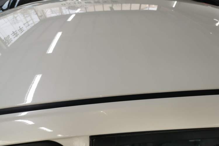 Used Venucia D60EV 2023 PLUS Comfort Edition CI Model Roof