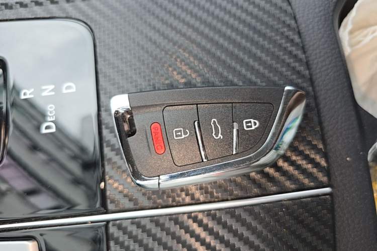 Used Venucia D60EV 2023 PLUS Comfort Edition RJ Model Vehicle Key