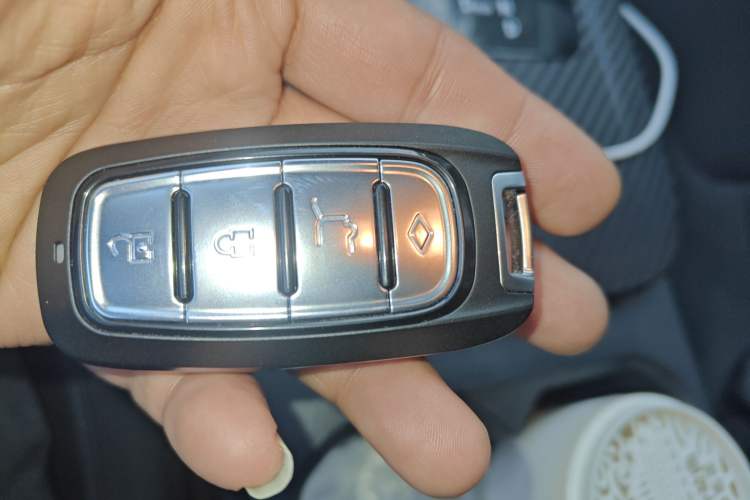 Used Venucia D60EV 2023 PLUS Comfort Edition RJ Model Vehicle Key