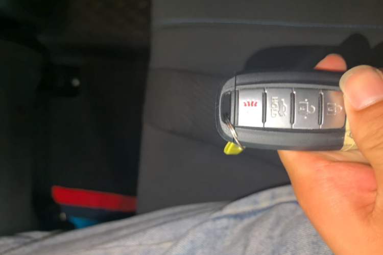 Used Venucia D60EV 2023 PLUS Comfort Edition RJ Model Vehicle Key