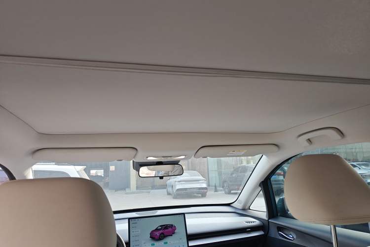 Used Venucia VX6 2023 520 Max Headliner