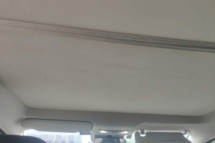 Used Venucia VX6 2023 520 Max Headliner