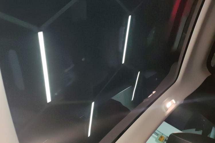 Used Venucia VX6 2023 520 Pro Headliner