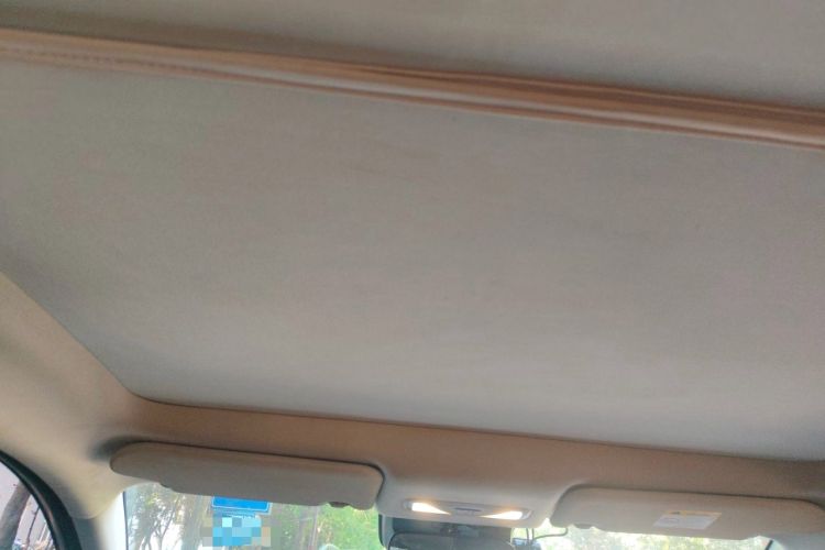 Used Venucia VX6 2023 520 Pro Headliner