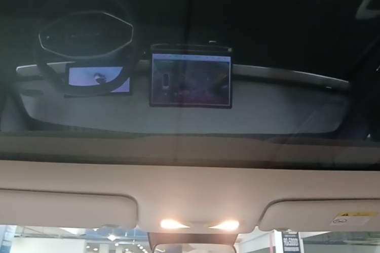 Used Venucia VX6 2023 520 Max Headliner