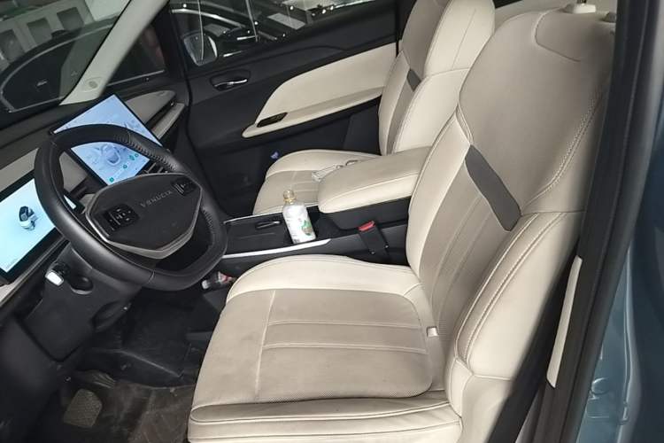 Used Venucia VX6 2023 520 Max Left Front Seat