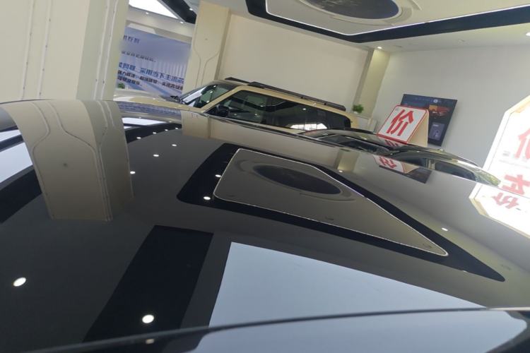Used Venucia VX6 2023 520 Max Roof