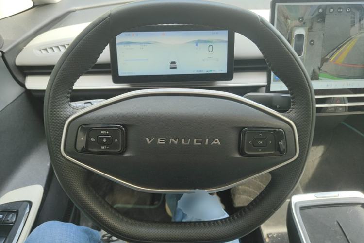 Used Venucia VX6 2023 520 Max Steering Wheel