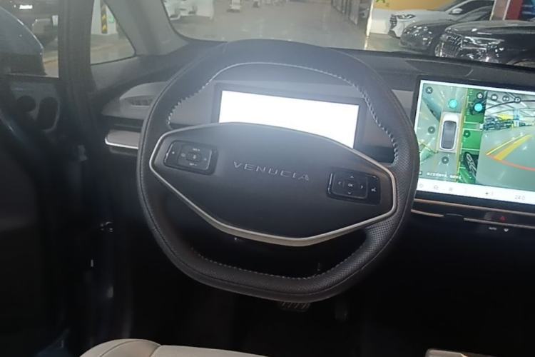 Used Venucia VX6 2023 520 Max Steering Wheel