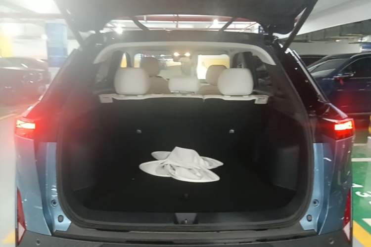 Used Venucia VX6 2023 520 Max Trunk