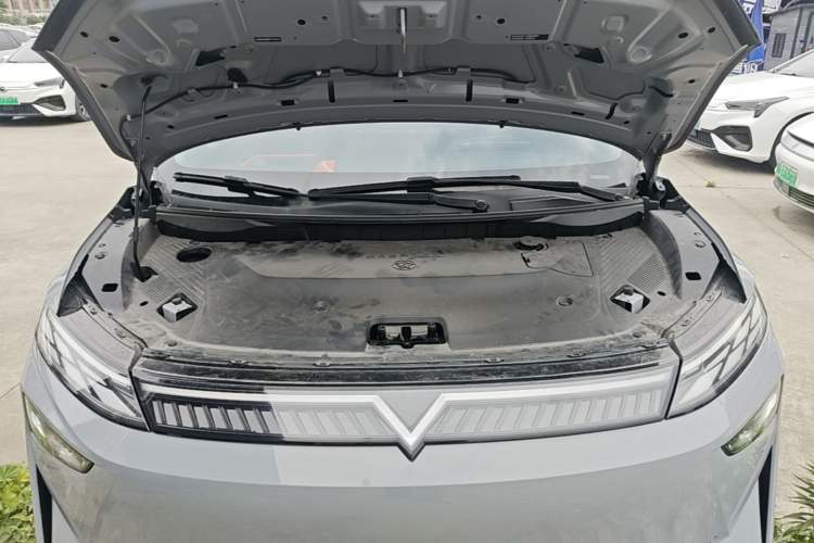 Used Venucia VX6 2023 520 Max Engine Bay