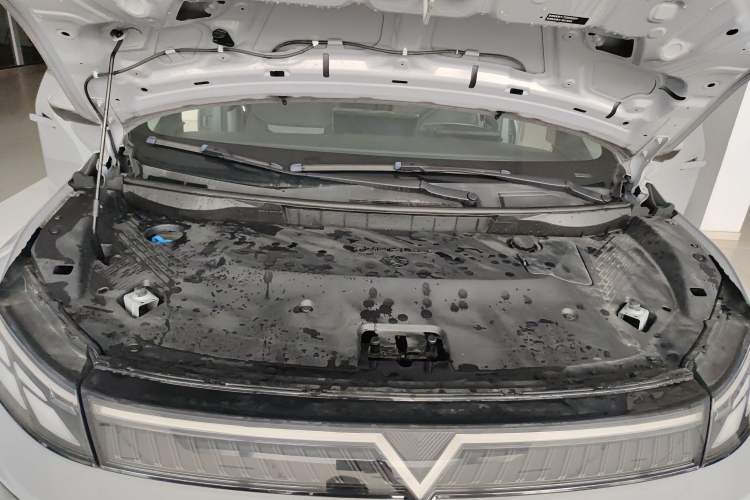 Used Venucia VX6 2023 520 Max Engine Bay