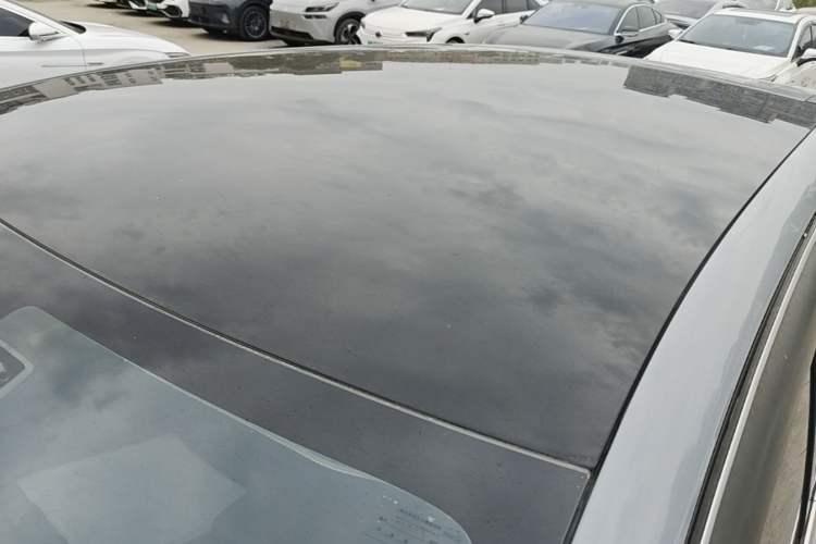 Used Venucia VX6 2023 520 Max Roof