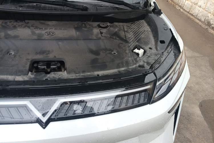 Used Venucia VX6 2023 520 Max Engine Bay Left