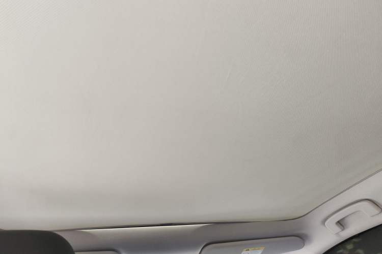 Used Venucia VX6 2023 520 Max Headliner