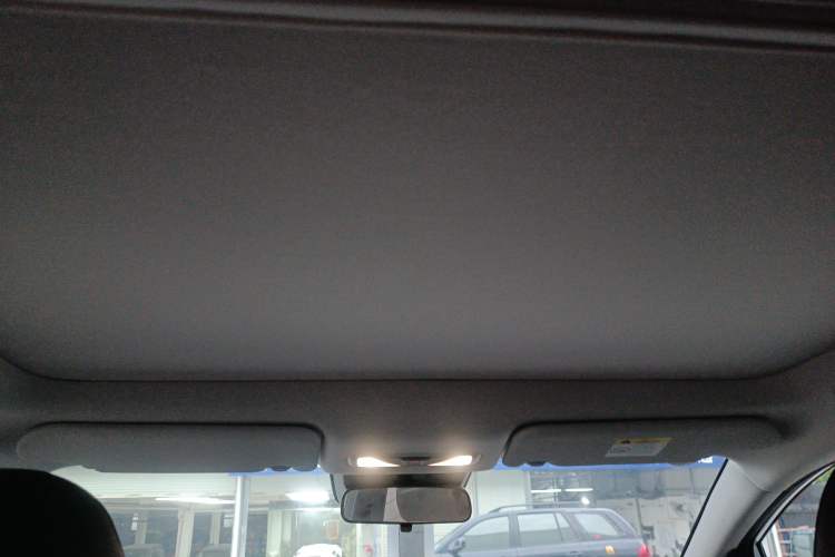 Used Venucia VX6 2023 520 Pro Headliner