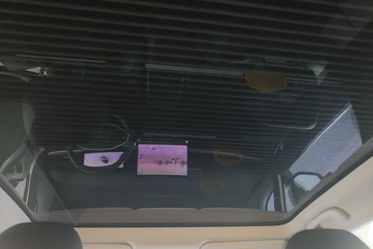 Used Venucia VX6 2023 520 Max Headliner