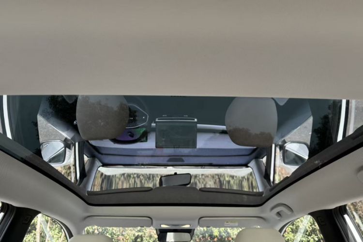 Used Venucia VX6 2023 520 Max Headliner