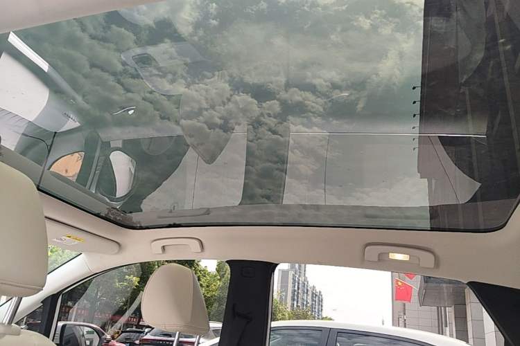 Used Venucia VX6 2023 520 Max Headliner