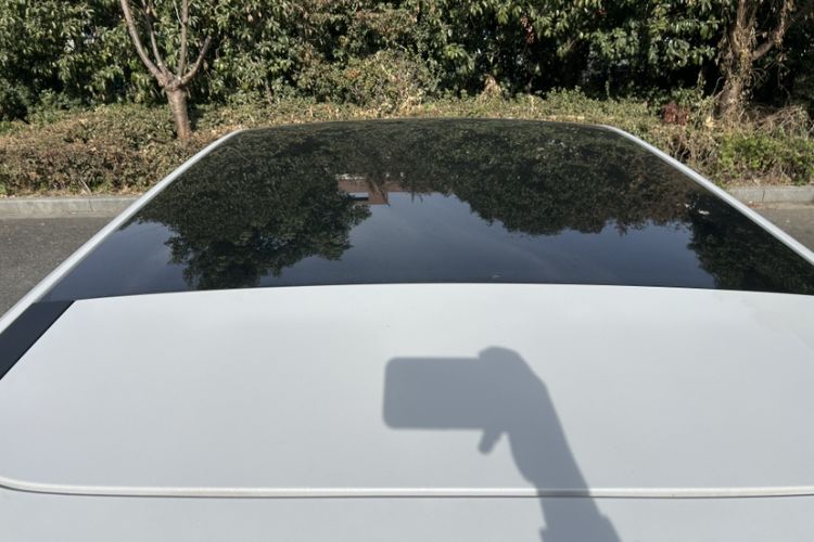 Used Venucia VX6 2023 520 Max Roof