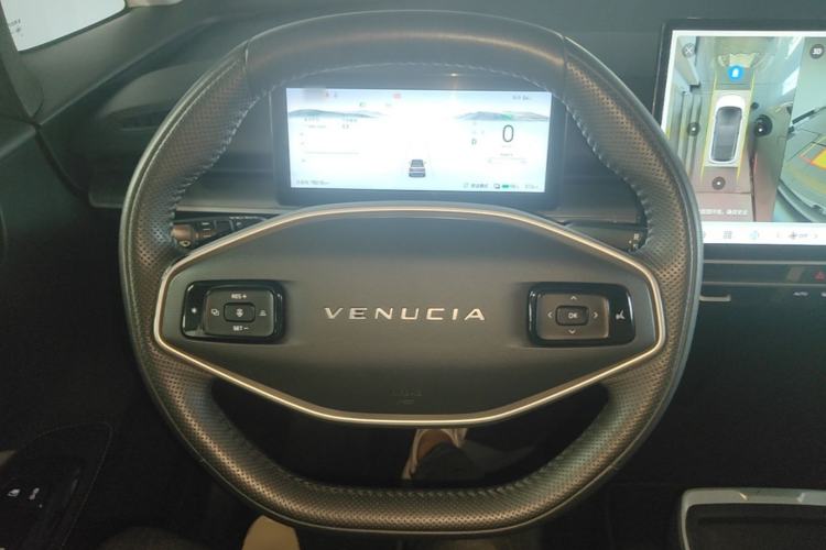 Used Venucia VX6 2023 520 Max Steering Wheel