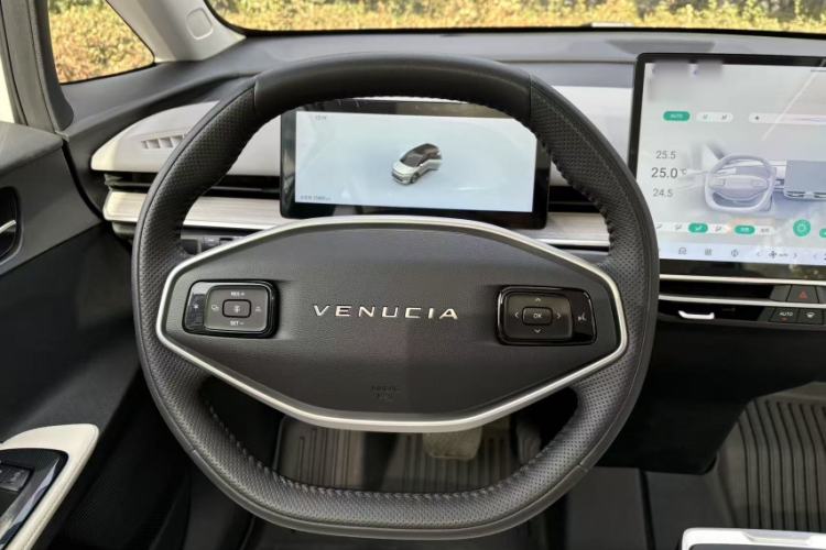 Used Venucia VX6 2023 520 Max Steering Wheel