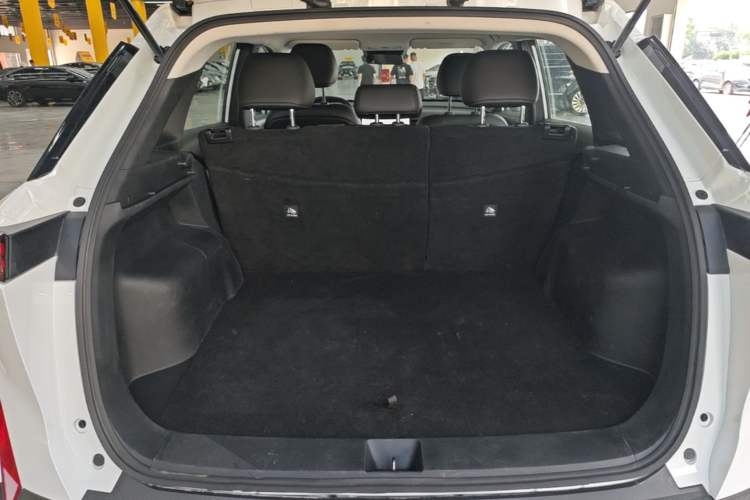 Used Venucia VX6 2023 520 Max Trunk