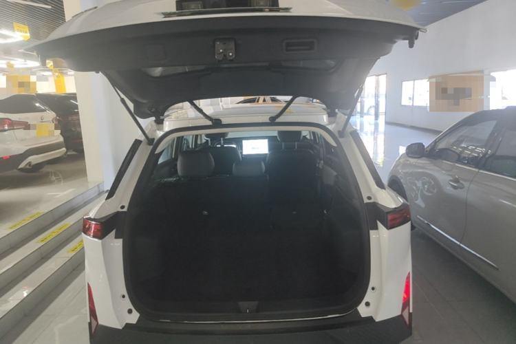 Used Venucia VX6 2023 520 Max Trunk