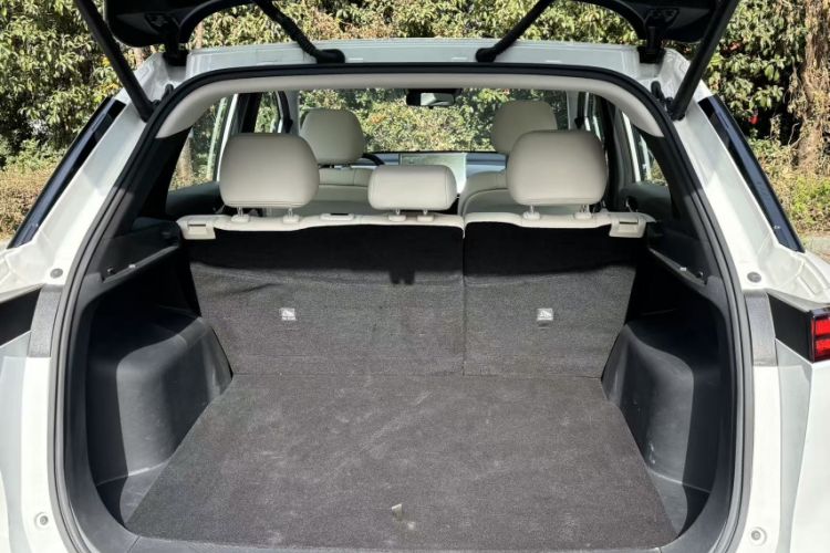 Used Venucia VX6 2023 520 Max Trunk