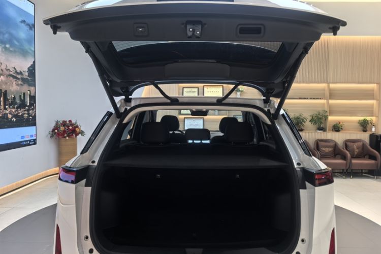 Used Venucia VX6 2023 520 Max Trunk