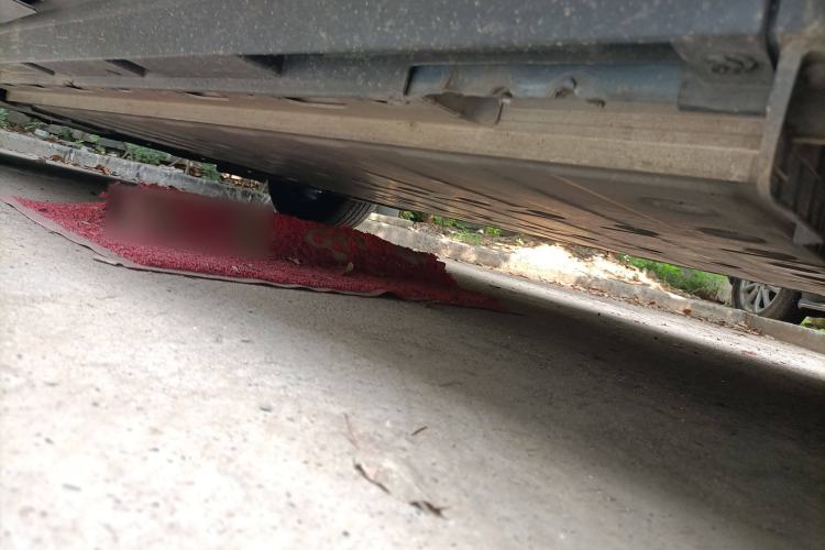 Used Venucia VX6 2024 520 Travel Edition Chassis Rear Left