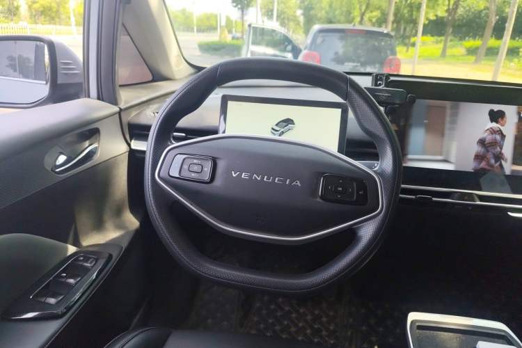 Used Venucia VX6 2024 520 Travel Edition Steering Wheel