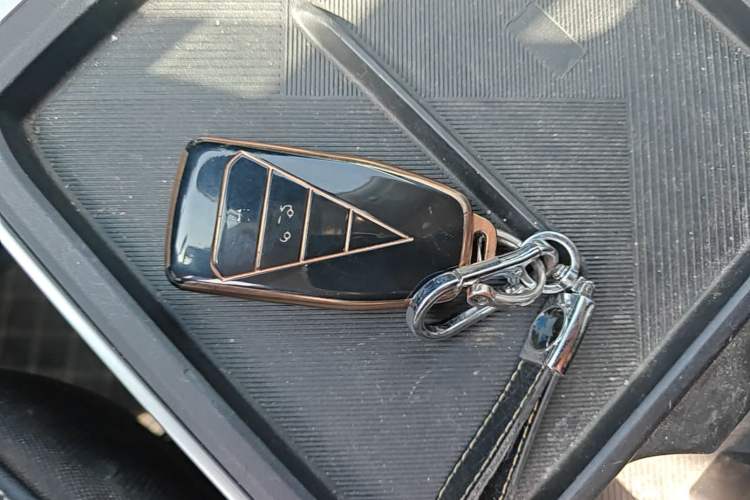 Used Venucia VX6 2024 520 Travel Edition Vehicle Key