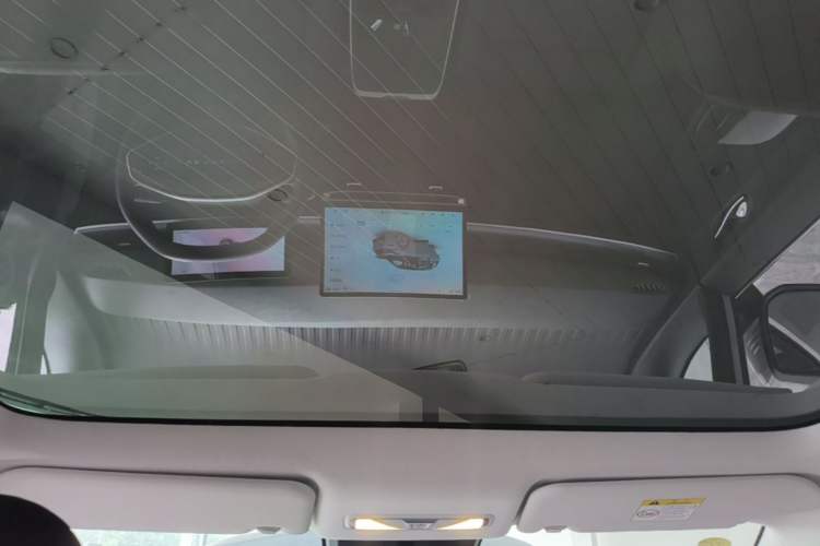 Used Venucia VX6 2024 450 Executive Edition Headliner