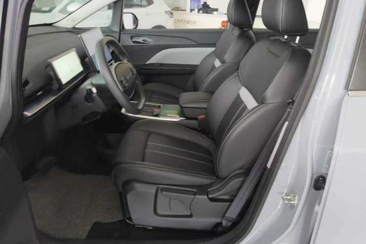 Used Venucia VX6 2024 450 Executive Edition Left Front Seat