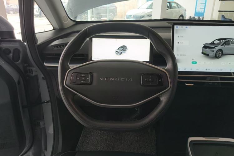 Used Venucia VX6 2024 450 Executive Edition Steering Wheel